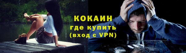 ПСИЛОЦИБИНОВЫЕ ГРИБЫ Аркадак