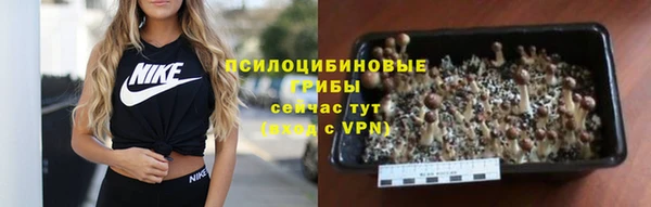 не бодяженный Армянск