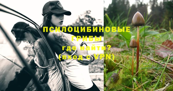 не бодяженный Армянск