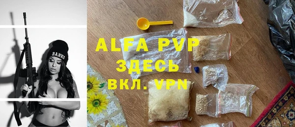 твердый Арсеньев