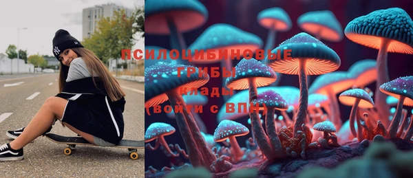 твердый Арсеньев