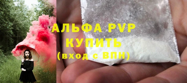 твердый Арсеньев