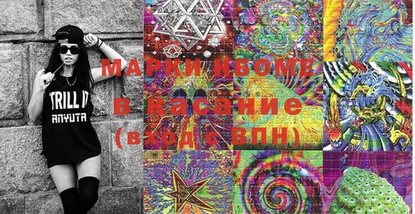 твердый Арсеньев