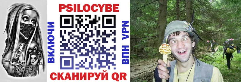 Купить  Нефтегорск  Псилоцибиновые грибы Cubensis 